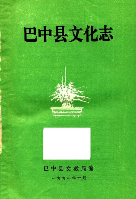 《巴中县文化志》.pdf电子版_四川省志插图1