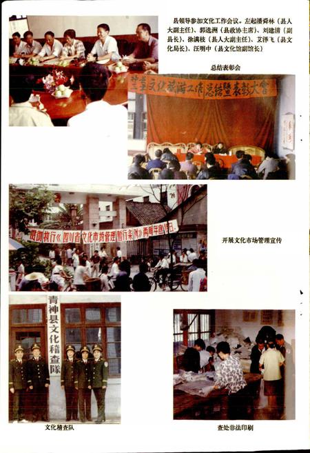 《青神县文化志》.pdf电子版_四川省志插图4