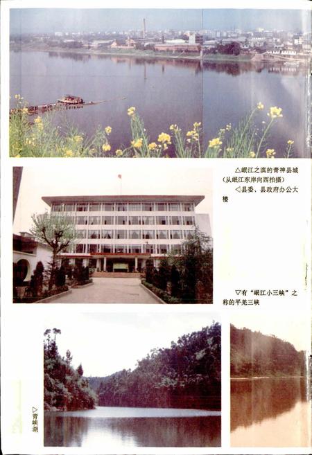 《青神县志》.pdf电子版_四川省志插图4