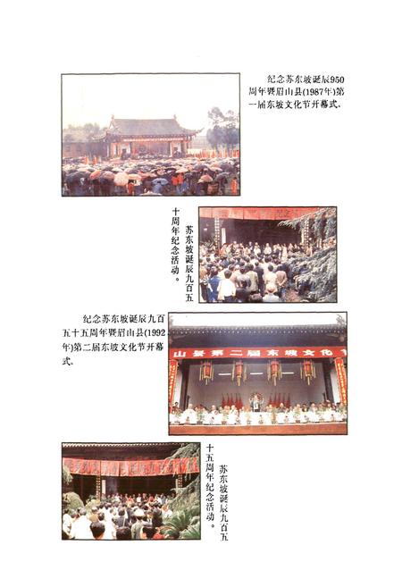 《眉山县文化志》.pdf电子版_四川省志插图3