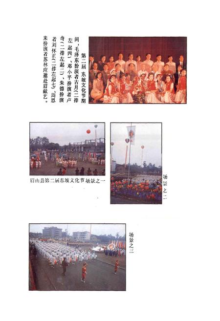 《眉山县文化志》.pdf电子版_四川省志插图4