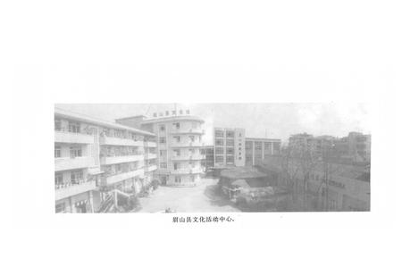 《眉山县文化志》.pdf电子版_四川省志插图5