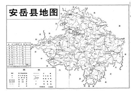 《安岳县志》.pdf电子版_四川省志插图3