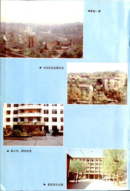 《安岳县志》.pdf电子版_四川省志插图5