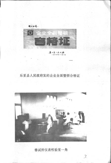 《乐至县电力公司志》.pdf电子版_四川省志插图3
