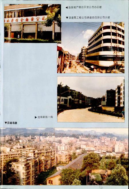 《乐至县志》.pdf电子版_四川省志插图4