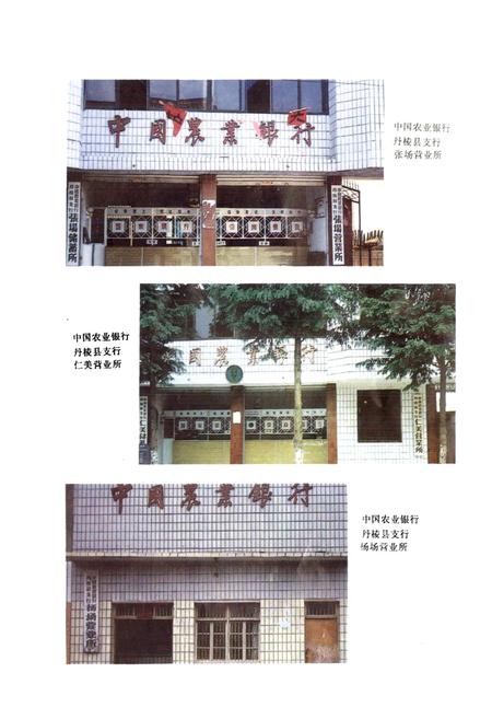 《丹棱县农村金融志》.pdf电子版_四川省志插图2