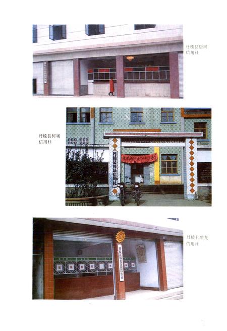 《丹棱县农村金融志》.pdf电子版_四川省志插图5