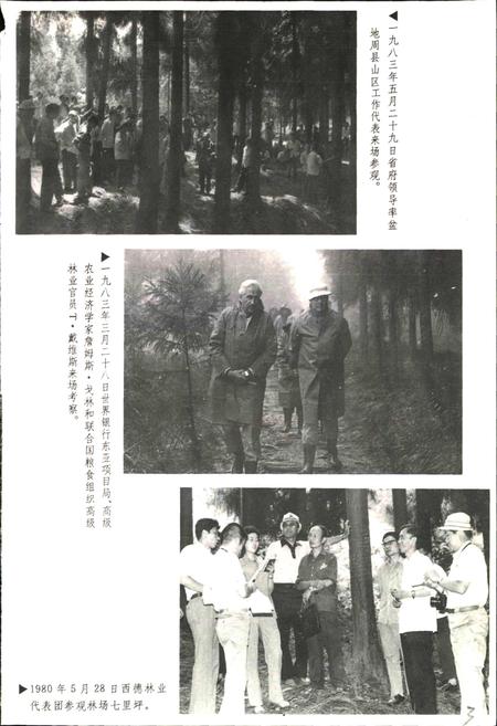 《洪雅林场志》.pdf电子版_四川省志插图5