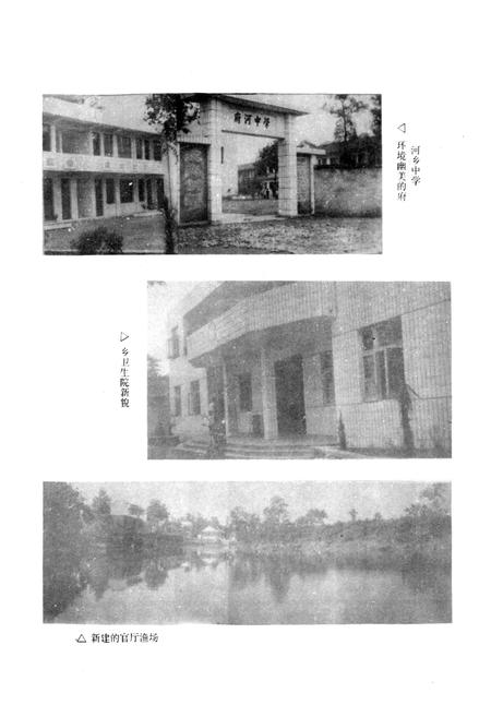 《彭山县府河乡志》.pdf电子版_四川省志插图3