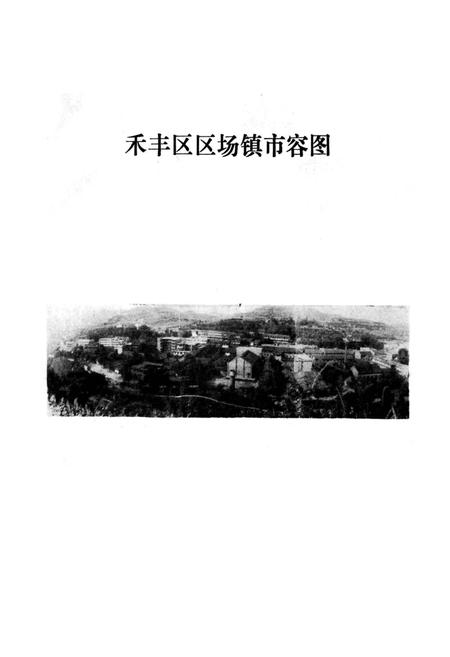 《简阳县禾丰区区志》.pdf电子版_四川省志插图3