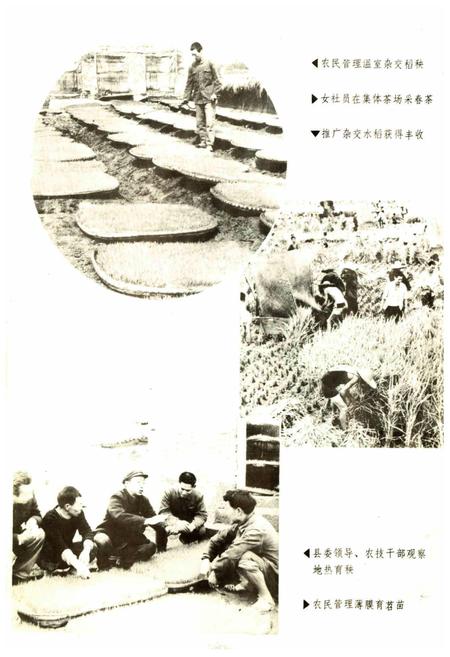《开江县志》.pdf电子版_四川省志插图4