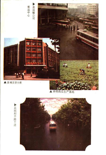 《资阳县财政志》.pdf电子版_四川省志插图5