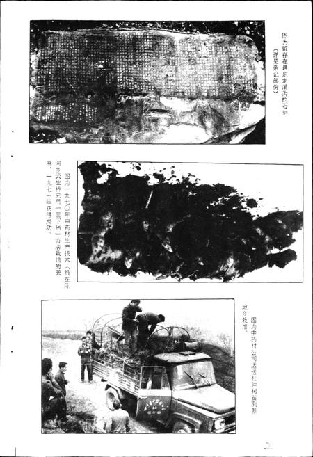 《通江县医药志》.pdf电子版_四川省志插图5
