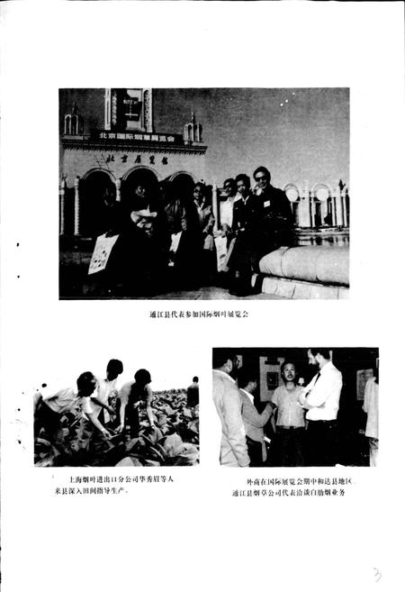 《通江县烟草志》.pdf电子版_四川省志插图4