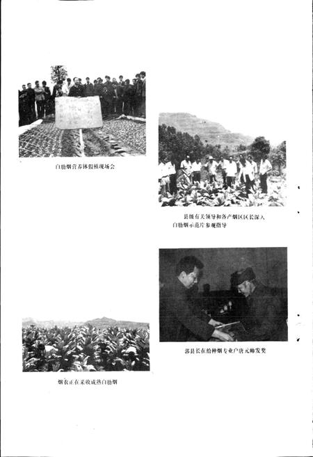《通江县烟草志》.pdf电子版_四川省志插图5