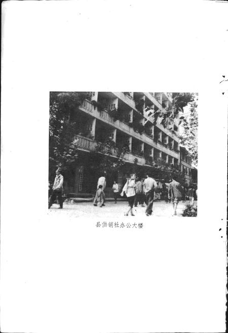 《巴中县供销合作志》.pdf电子版_四川省志插图4