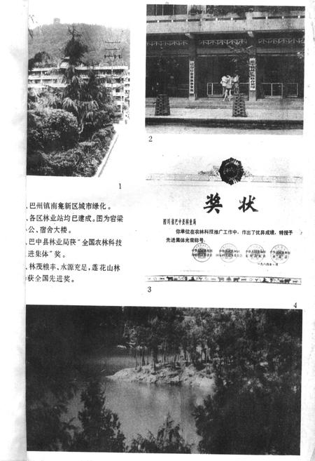 《巴中县林业志》.pdf电子版_四川省志插图3