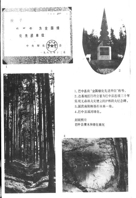 《巴中县林业志》.pdf电子版_四川省志插图4