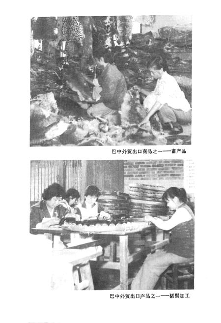 《巴中外贸志》.pdf电子版_四川省志插图5