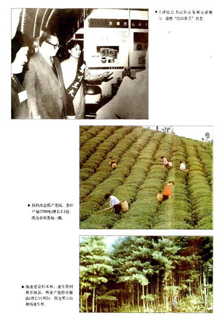 《万源县财政志》.pdf电子版_四川省志插图5