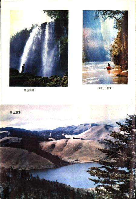 《木里藏族自治县 林业志》.pdf电子版_四川省志插图5
