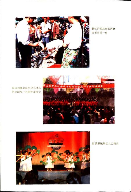 《凉山彝族自治州商贸志》.pdf电子版_四川省志插图4