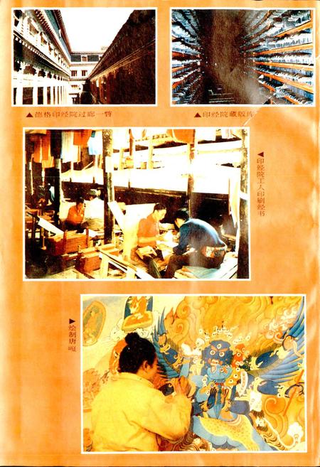 《德格县志》.pdf电子版_四川省志插图3