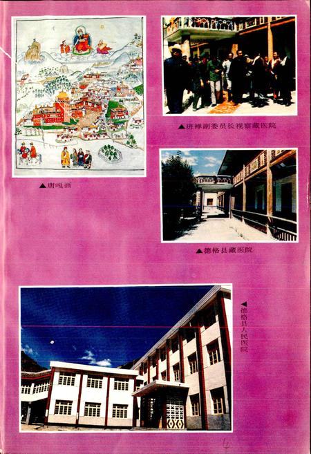 《德格县志》.pdf电子版_四川省志插图4