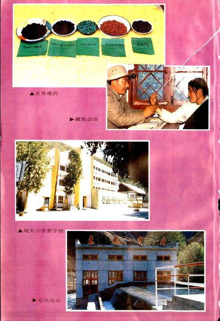 《德格县志》.pdf电子版_四川省志插图5