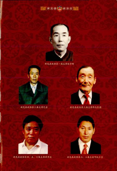 《新龙县政协志》.pdf电子版_四川省志插图5