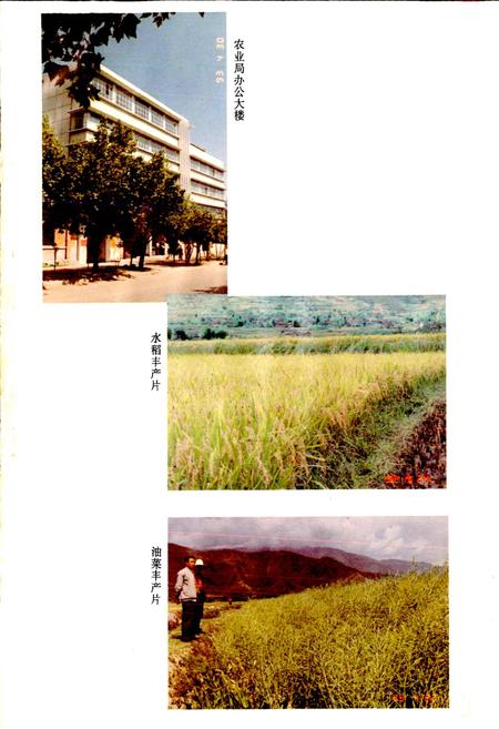 《冕宁县农业志》.pdf电子版_四川省志插图4