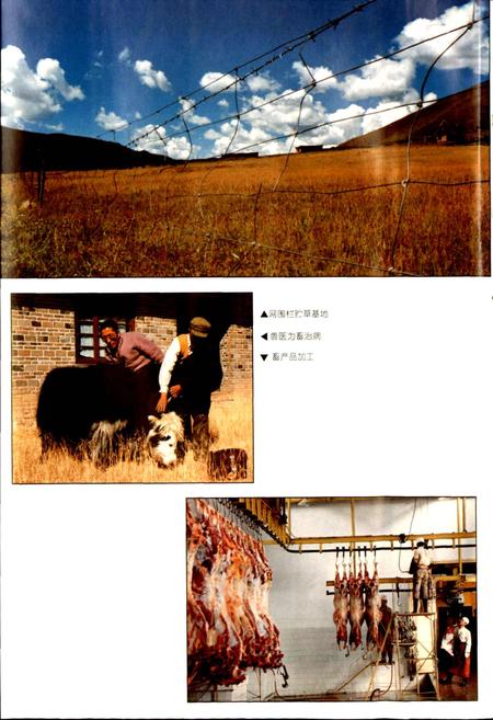 《甘孜州志 中》.pdf电子版_四川省志插图5