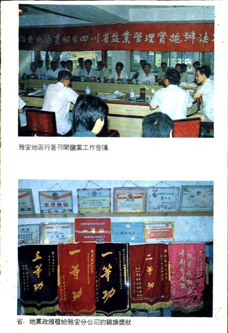 《雅安地区盐业志》.pdf电子版_四川省志插图5