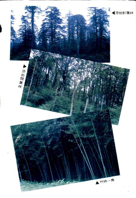 《雅安地区林业志》.pdf电子版_四川省志插图5 《雅安地区林业志》.pdf电子版_四川省志插图5