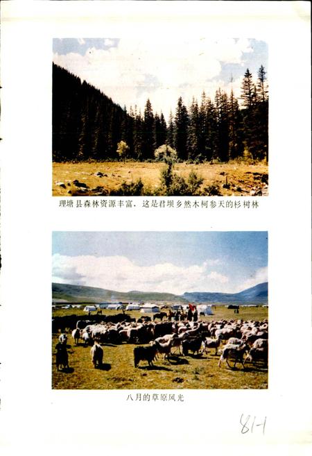 《四川省甘孜藏族自治州理塘县地名录》.pdf电子版_四川省志插图5 《四川省甘孜藏族自治州理塘县地名录》.pdf电子版_四川省志插图5