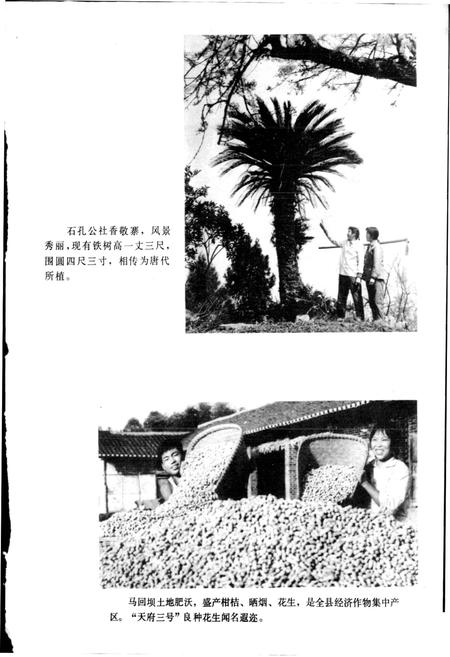 《四川省蓬安县地名录》.pdf电子版_四川省志插图5