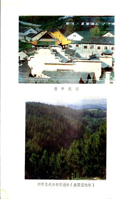 《四川省资中县地名录》.pdf电子版_四川省志插图3 《四川省资中县地名录》.pdf电子版_四川省志插图3