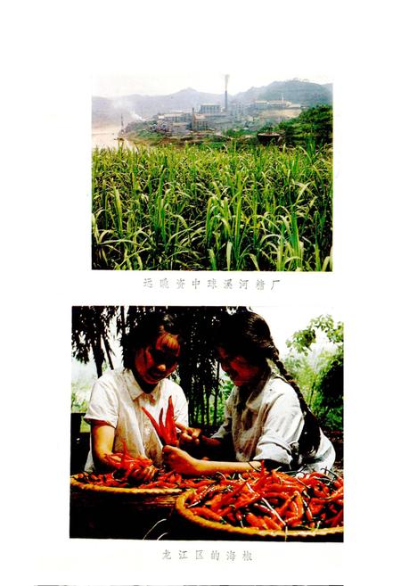 《四川省资中县地名录》.pdf电子版_四川省志插图4 《四川省资中县地名录》.pdf电子版_四川省志插图4