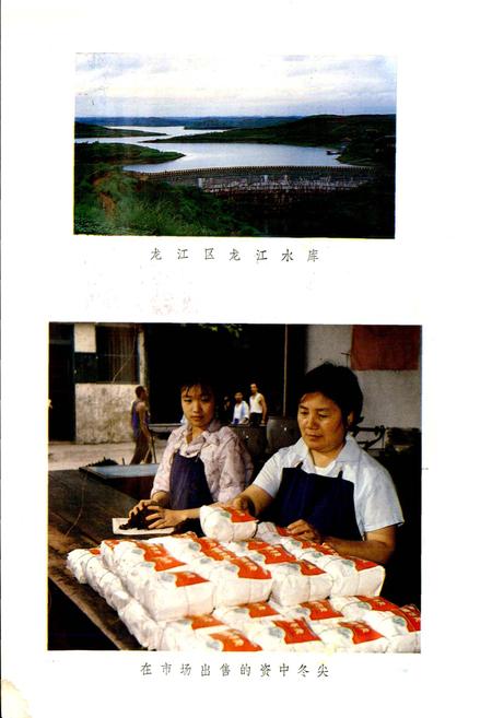 《四川省资中县地名录》.pdf电子版_四川省志插图5 《四川省资中县地名录》.pdf电子版_四川省志插图5