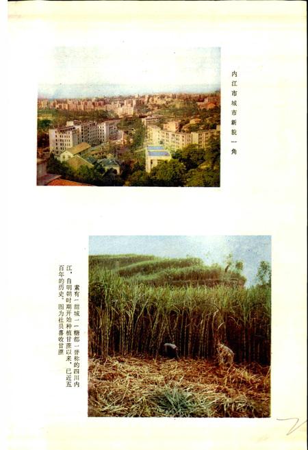 《四川省内江地区内江市地名录》.pdf电子版_四川省志插图2