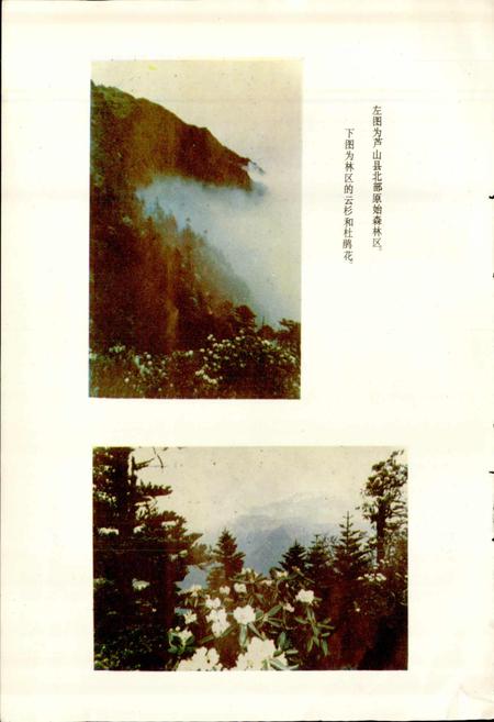 《四川省芦山县地名录》.pdf电子版_四川省志插图5