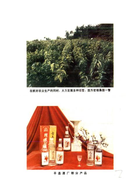 《四川省平昌县地名录》.pdf电子版_四川省志插图4 《四川省平昌县地名录》.pdf电子版_四川省志插图4