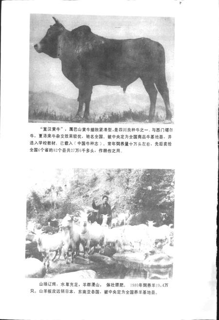 《四川省宣汉县地名录》.pdf电子版_四川省志插图5 《四川省宣汉县地名录》.pdf电子版_四川省志插图5