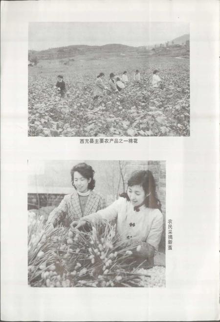 《四川省西充县地名录》.pdf电子版_四川省志预览图3