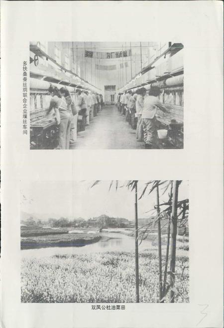 《四川省西充县地名录》.pdf电子版_四川省志预览图4