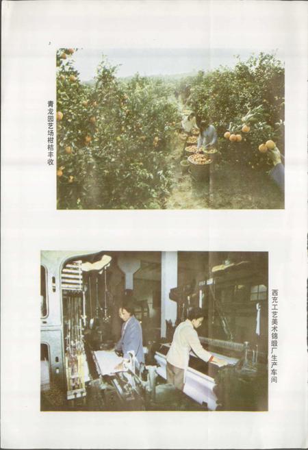 《四川省西充县地名录》.pdf电子版_四川省志预览图5