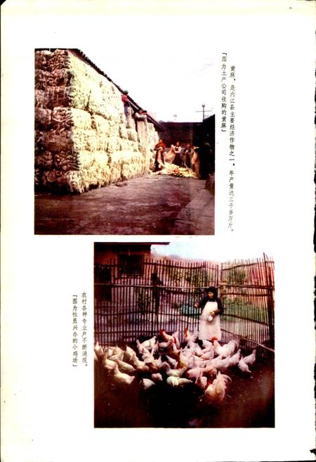 《四川省内江县地名录》.pdf电子版_四川省志预览图3