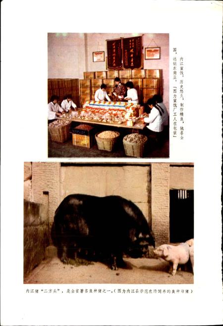 《四川省内江县地名录》.pdf电子版_四川省志预览图5