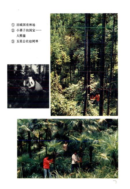 《四川省北川县地名录》.pdf电子版_四川省志插图2